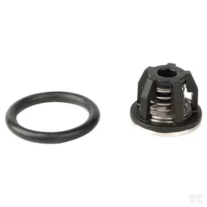 Supapă pompă completă, BP 110 - 628512200087